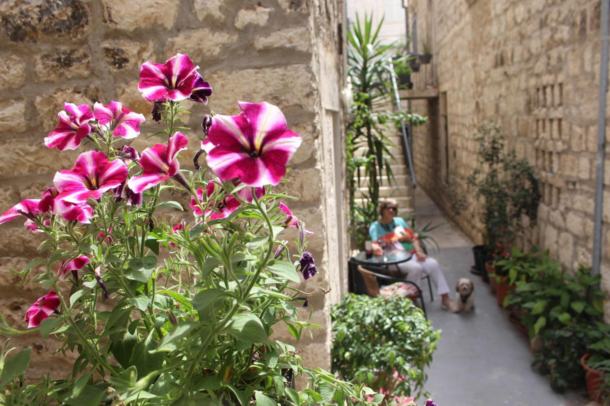 Street Garden Apartment Hvar Town Luaran gambar