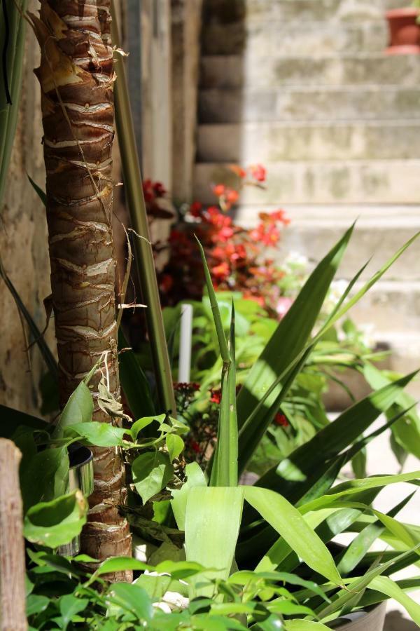 Street Garden Apartment Hvar Town Luaran gambar
